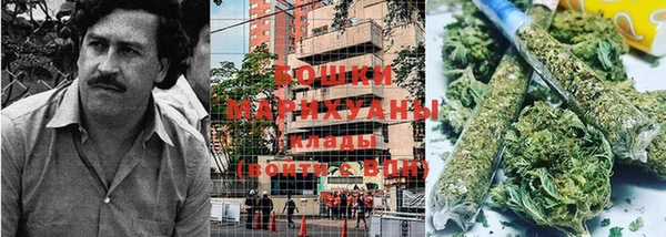 ГАЛЛЮЦИНОГЕННЫЕ ГРИБЫ Абаза