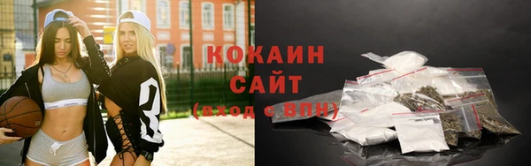 ГАЛЛЮЦИНОГЕННЫЕ ГРИБЫ Абаза