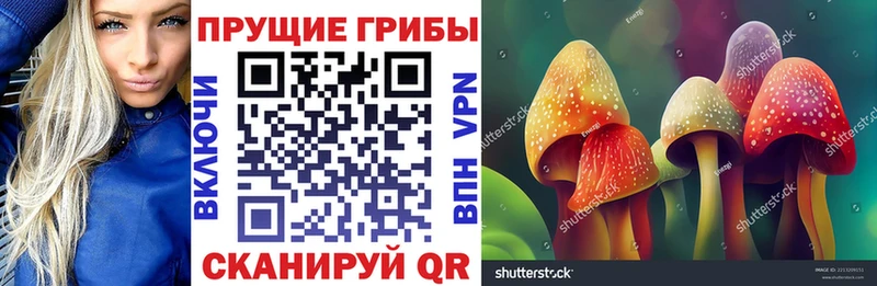 Псилоцибиновые грибы MAGIC MUSHROOMS  Уварово 