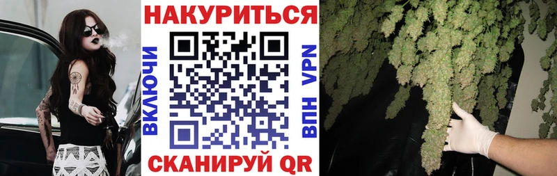 Конопля сатива Уварово